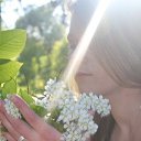 ���� ������, �����-��������� - ��������� 1 ������� 2017 � ������ ������� ��