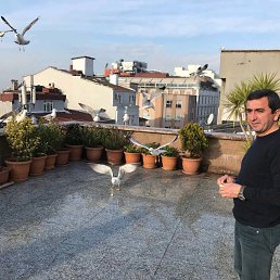 �������, �������, 40 ���