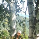 ���� ���������, ���������, 43 ���� - ��������� 27 ������ 2017 � ������ ���� ����������