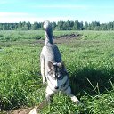 ���� �������, ���������, 66 ��� - ��������� 4 ���� 2018 � ������ ������ ��������