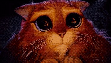 ���� ��������, ������������, 44 ���� - ��������� 5 ������ 2018