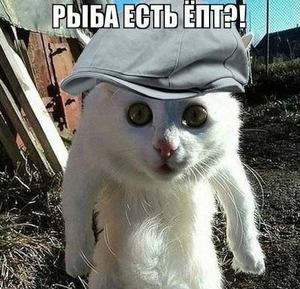    - 20  2017  03:53
