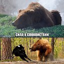 Фото Александр, Архангельск, 58 лет - добавлено 21 ноября 2017