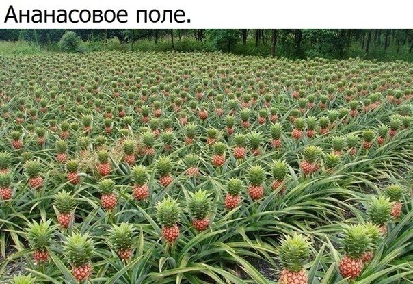   - 4  2018  03:54