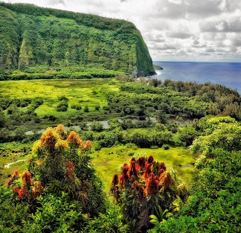  Waipio, 