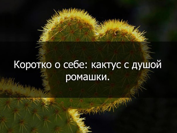 - 30  2018  03:13