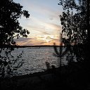  , -, 61  -  10  2018    