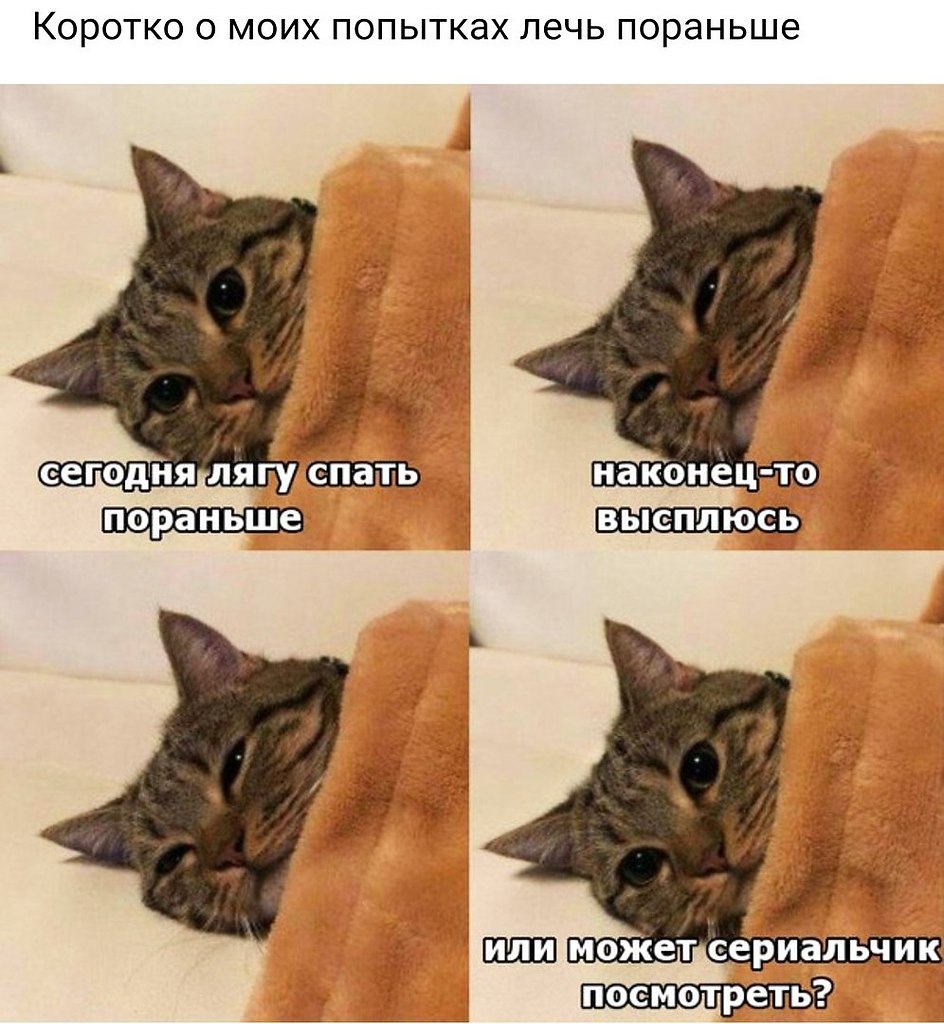    :D - 31  2018  03:43