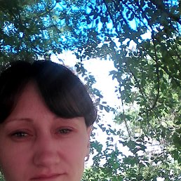 , 37 , 