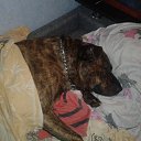 ���� �������, �����-���������, 45 ��� - ��������� 8 ����� 2018 � ������ ������ ��������