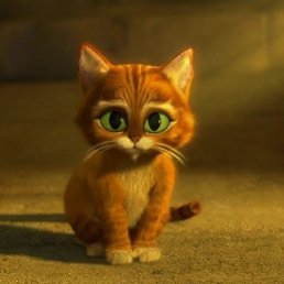 ���� ����, ������, 24 ���� - ��������� 17 ������� 2017