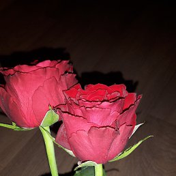 Tatjana, ����, 50 ���