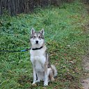 ���� ������, ������, 55 ��� - ��������� 28 ������� 2017 � ������ ���� ����������