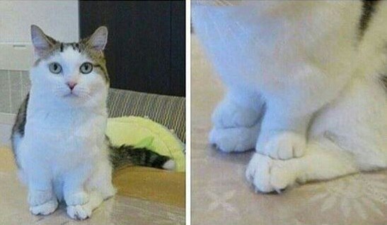     ,       