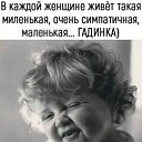  , - -  13  2017    