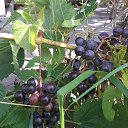 ���� �����, ������ - ��������� 28 ���� 2018 � ������ ���� ����������