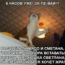 ���� ���������, ������������, 53 ���� - ��������� 15 ����� 2018 � ������ ���� ������������ ��������