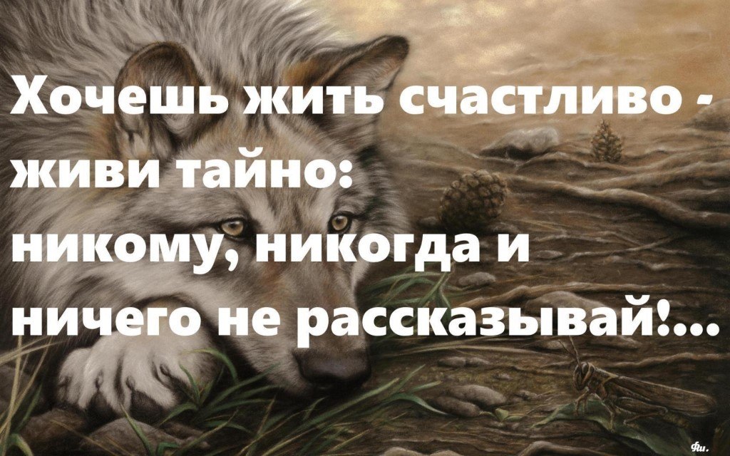   - 11  2018  15:18