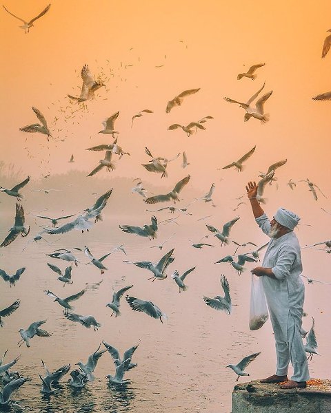 India - 10