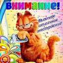 ���� T������, �����-��������� - ��������� 7 ���� 2018