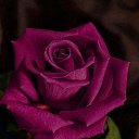 ���� �����, ����� - ��������� 2 ������ 2018 � ������ ���� ����������