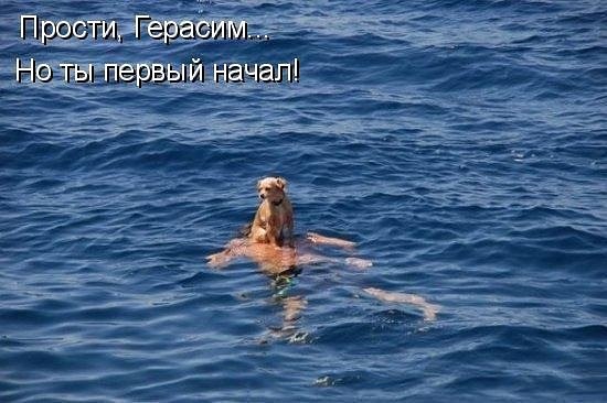 �������� �������� - 4 ������� 2018 � 15:10