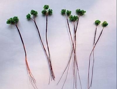 �� ������ ������� ������ �� ������. ��� ����, ����� ������ ������ ������� ������ �� ������ ��� ... - 3