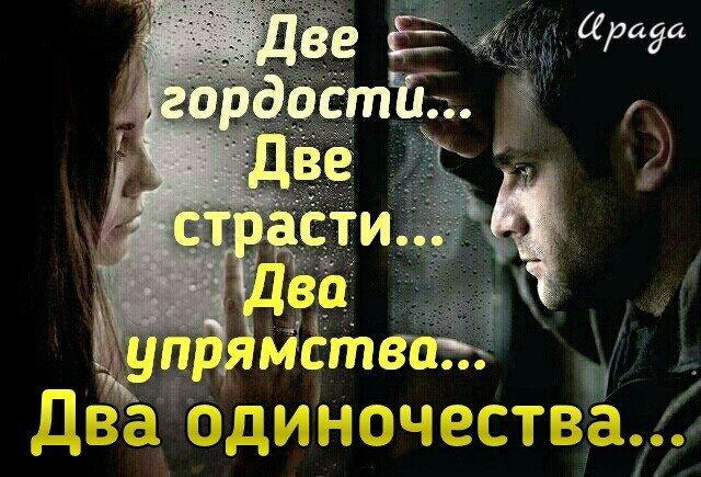 ,  .    ,    ,    -  ...