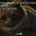 ���� Tesla, ����� - ��������� 12 ��� 2018 � ������ ������ ��������