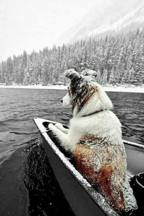 ***Victoria Viktorovna*** - 16 ����� 2018 � 02:37