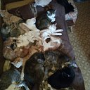 ���� ������, �����, 59 ��� - ��������� 8 ����� 2018 � ������ ������ ��������