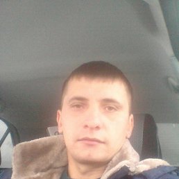 ���������, ���, 40 ���