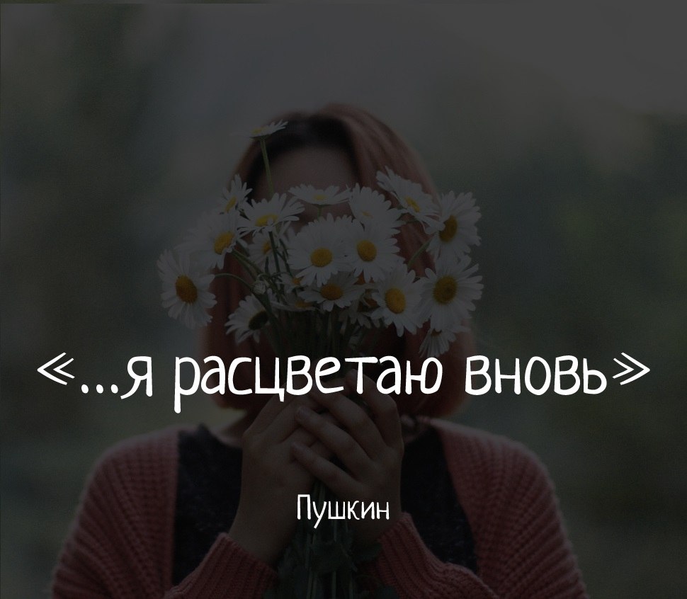 .. - 3  2018  02:36