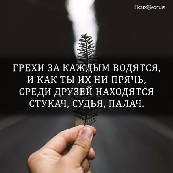  - 1  2018  02:53