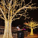 ���� ������, ������, 36 ��� - ��������� 17 ������� 2018 � ������ �� 2018 ���