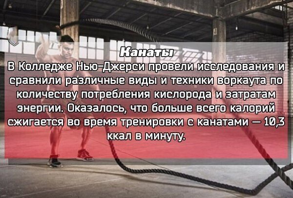9 упражнений, сжигающих калории лучше бега.Сохрани себе - 4