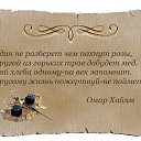 ���� ���������, ������, 61 ��� - ��������� 27 ������� 2017 � ������ ����������� ����