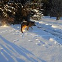 ���� �������, ������� - ��������� 4 ������� 2017 � ������ ���� ����������