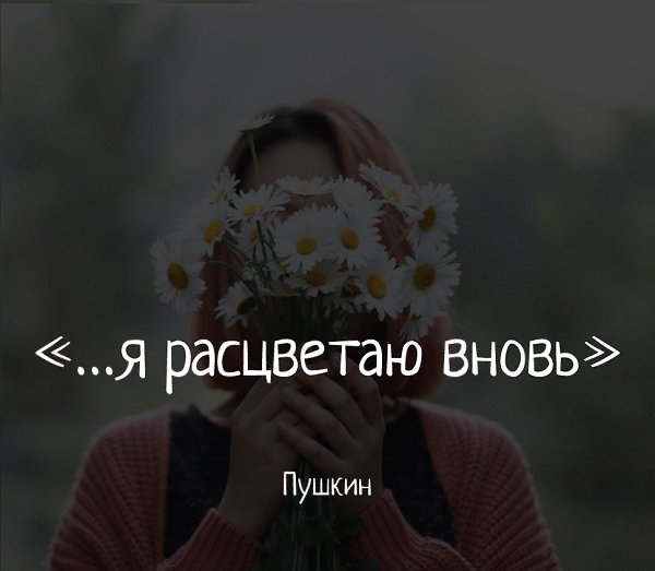 .. - 3  2018  02:36