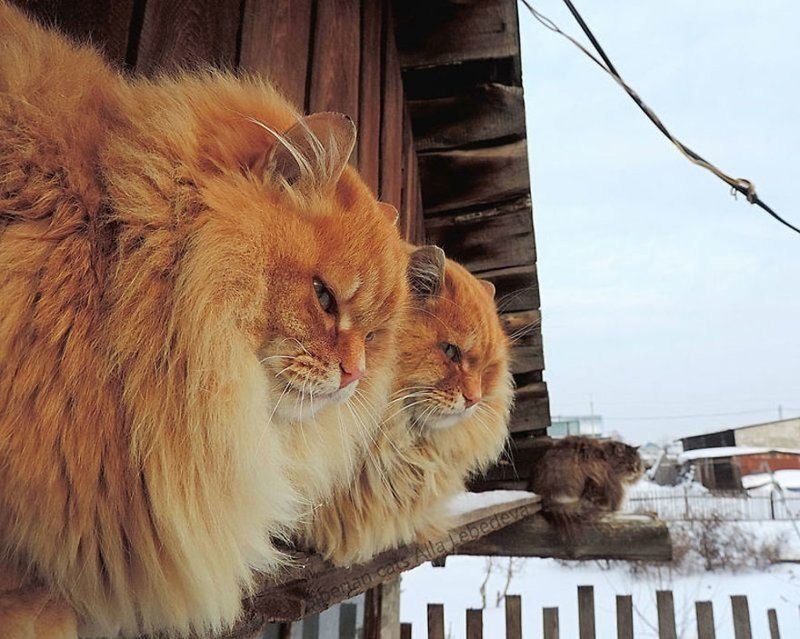          - 3