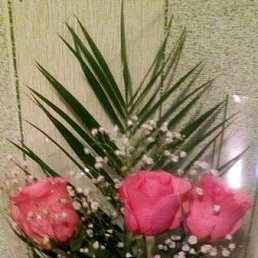 ������ ���������, �����������, 50 ���