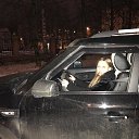 ���� ����, ����� - ��������� 21 ������ 2017 � ������ ���� ����������