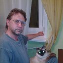 ���� ���������, �������, 62 ���� - ��������� 9 ���� 2018 � ������ ���� ����������