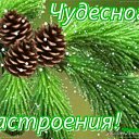 ���� ����������, ��������� - ��������� 5 ������� 2017 � ������ ������ ��������