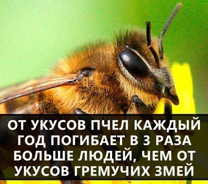   :    - 15  2018  04:02