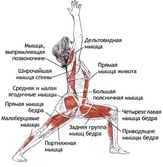 Вирабхадрасана I(Перевод с санскрита:Поза героя I).Показания:Остеохондроз, радикулит в ...