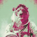 ���� �������, ������, 33 ���� - ��������� 29 ������ 2018