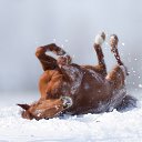 ���� �������, ������ - ��������� 7 ���� 2018 � ������ ��������