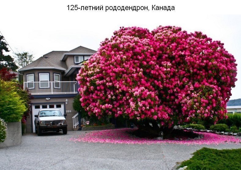 ����� ���������� �� �����! - 19 ������ 2018 � 02:37