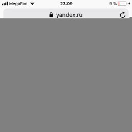 David, ������, 43 ����